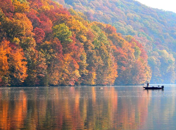 8 Fall Fishing Tips for Bass
